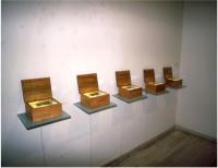 Exhibition image, light boxes. Cultural Center Belgrade Gallery, Belgrade, Serbia, 2004